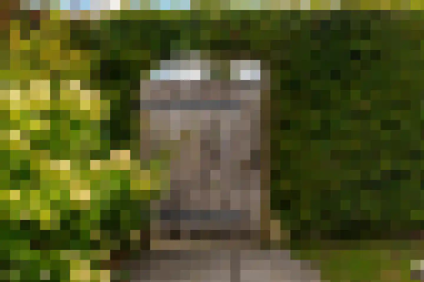 Tolstraat 41 Meerkerk thumbnail 34