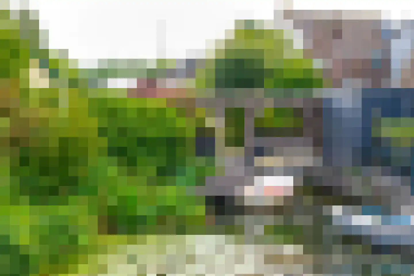 Tolstraat 41 Meerkerk thumbnail 37