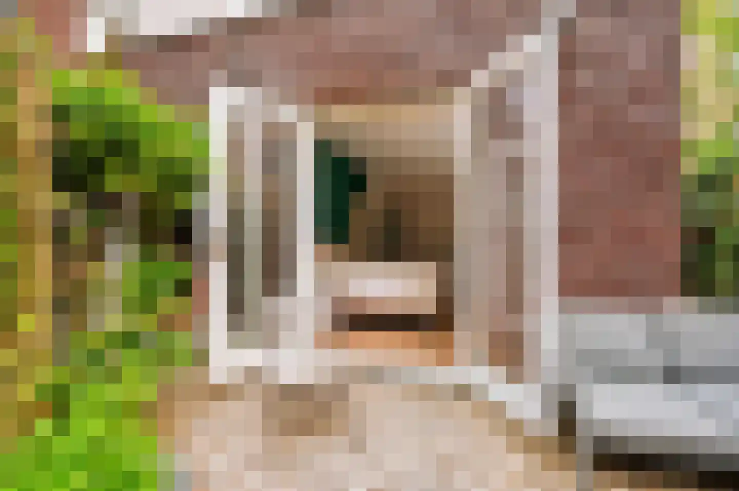 Tolstraat 42 H Amsterdam thumbnail 22