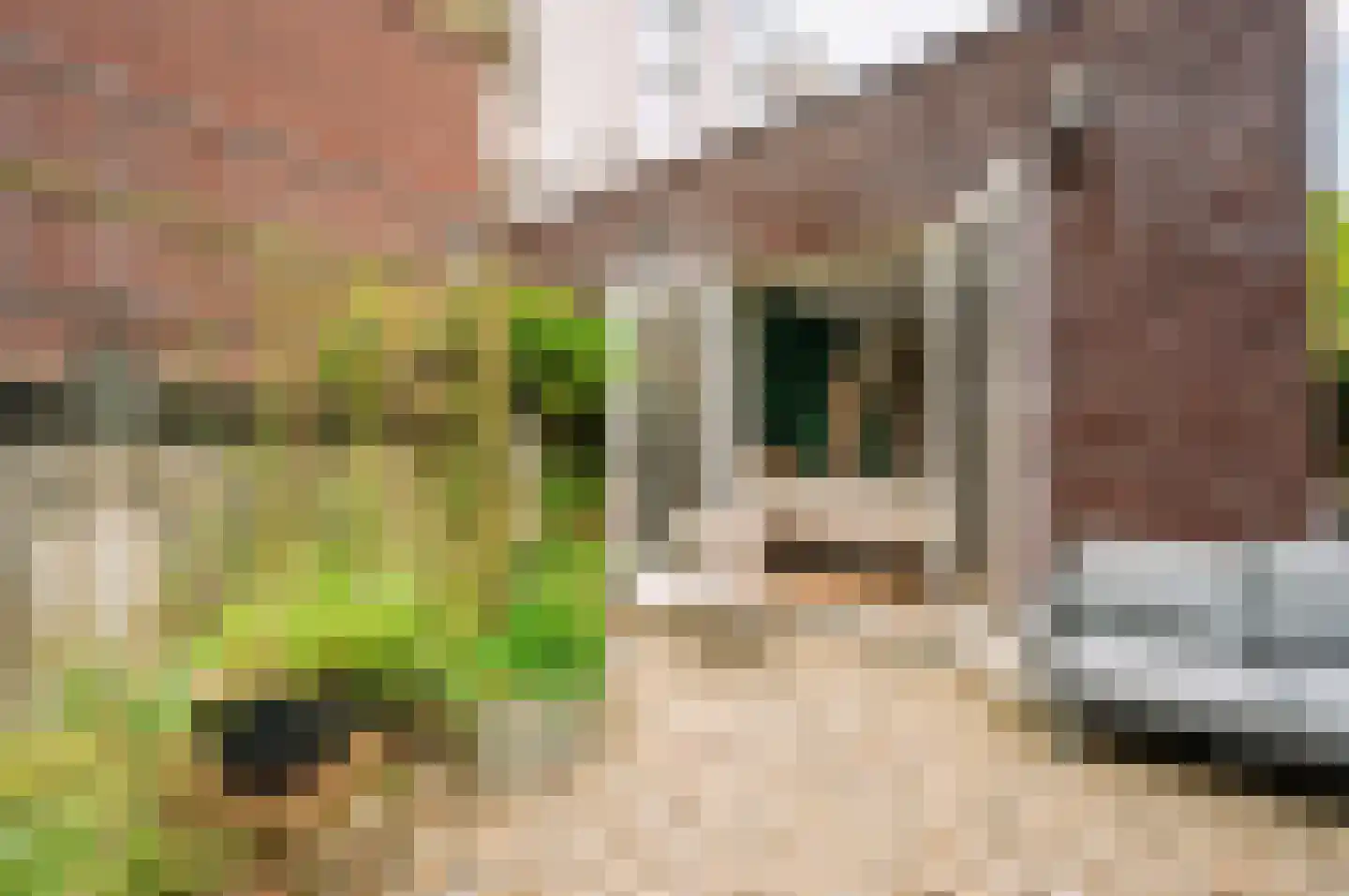 Tolstraat 42 H Amsterdam thumbnail 23