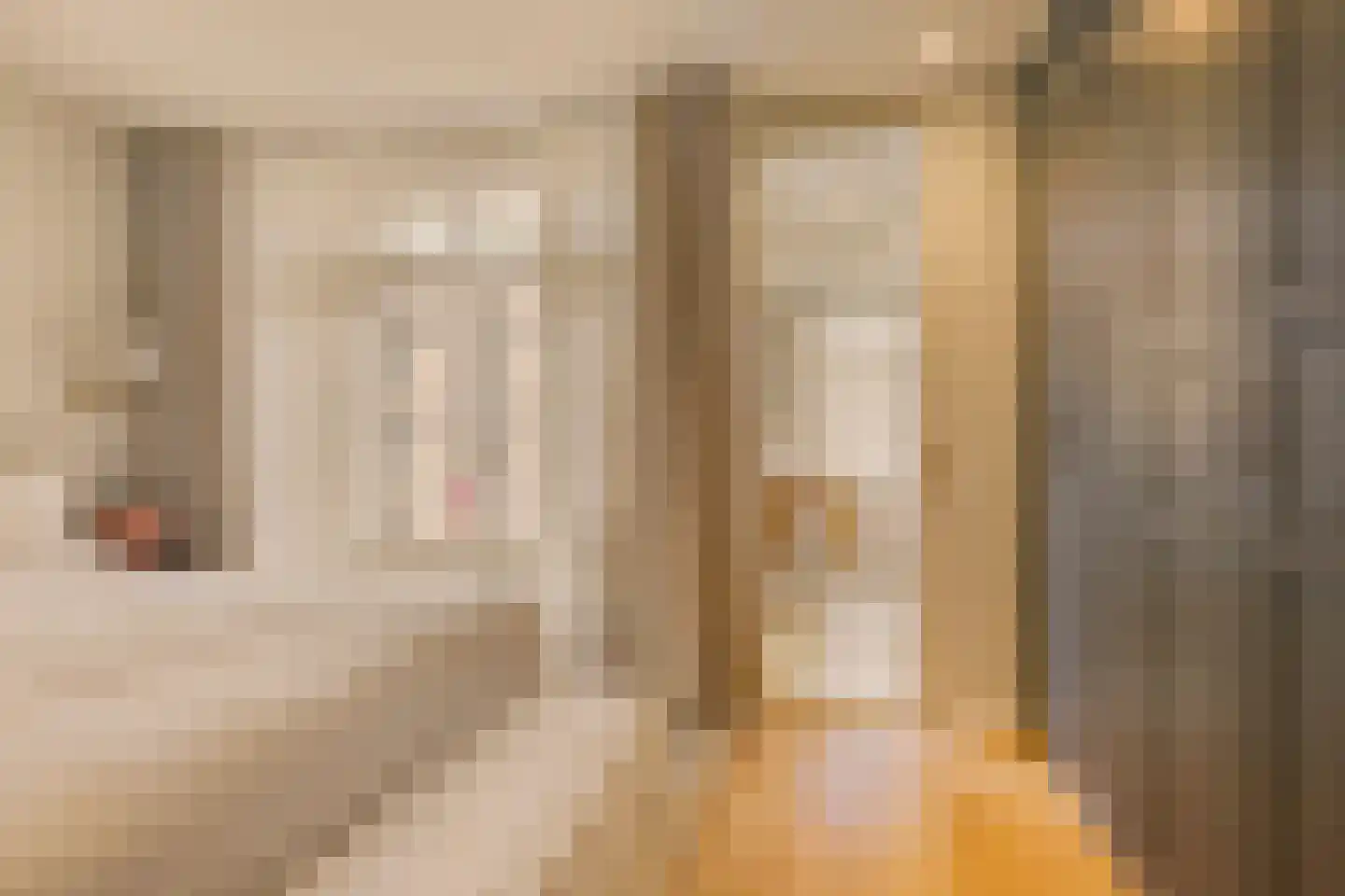 Tolstraat 44 1 Amsterdam thumbnail 17