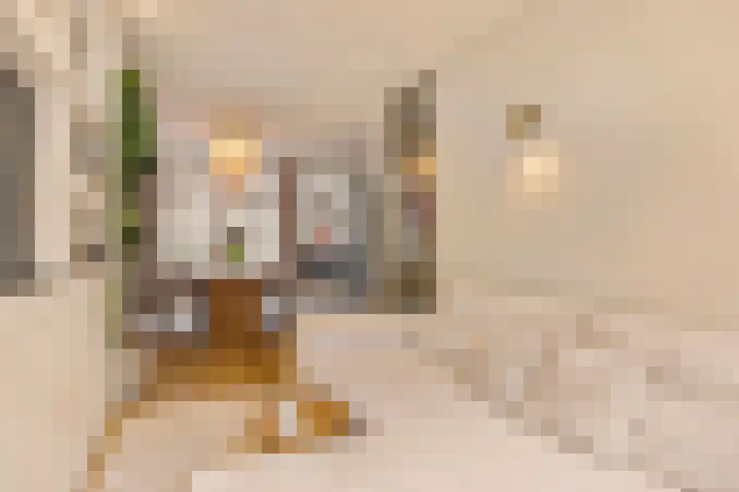 Tolstraat 44 1 Amsterdam thumbnail 7