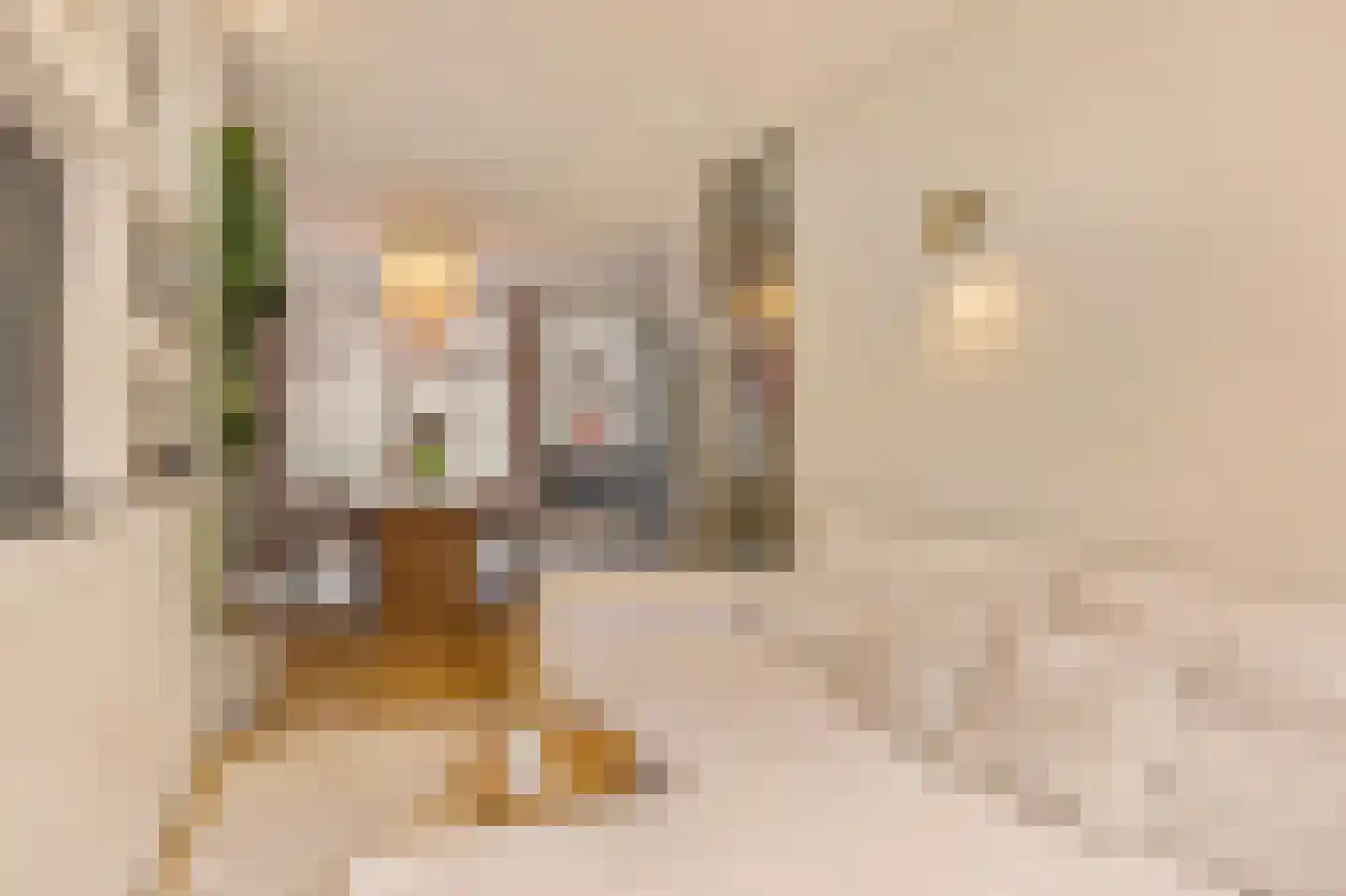 Tolstraat 44 1 Amsterdam thumbnail 8