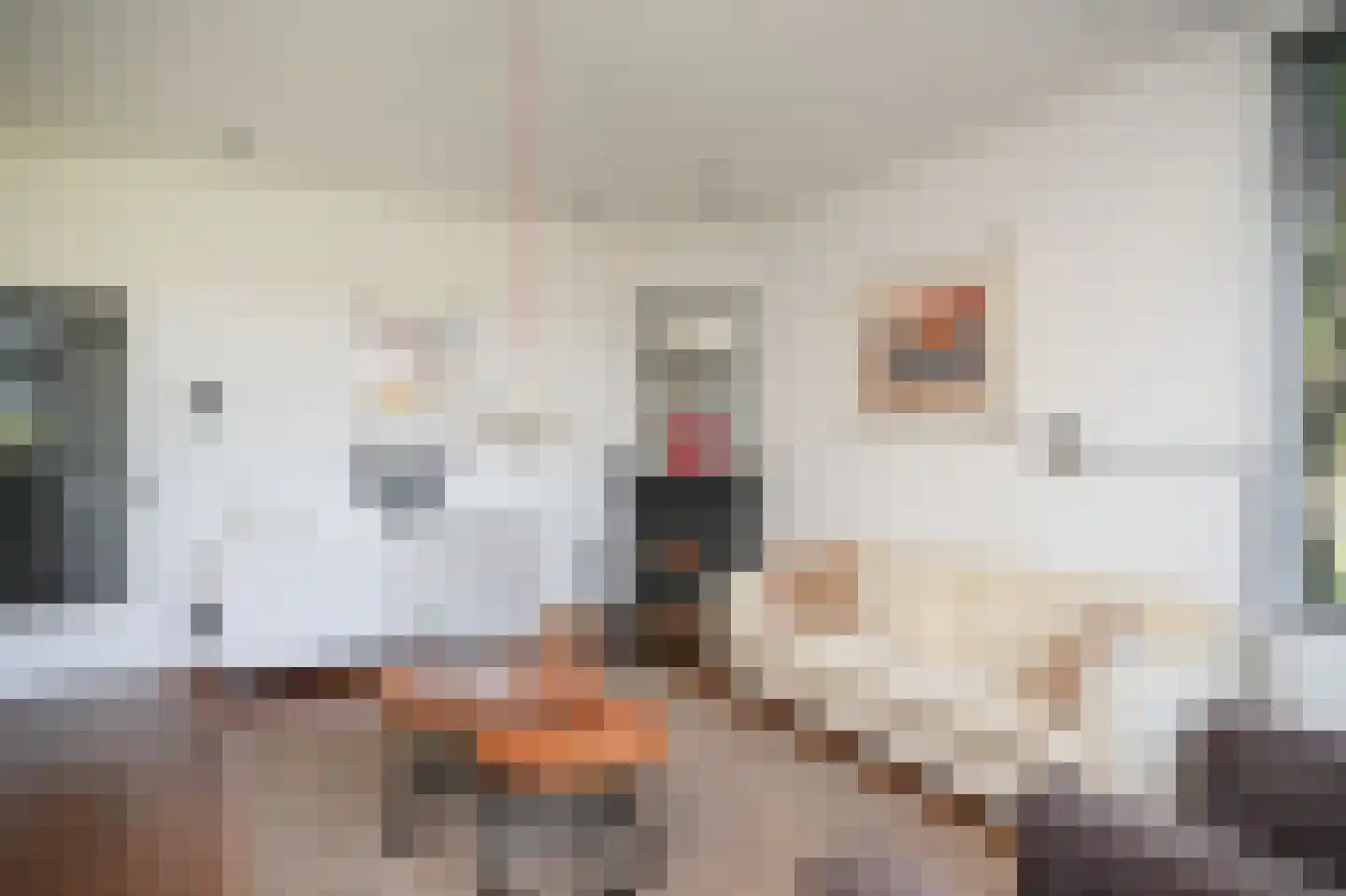 Tolstraat 45 Meerkerk thumbnail 12