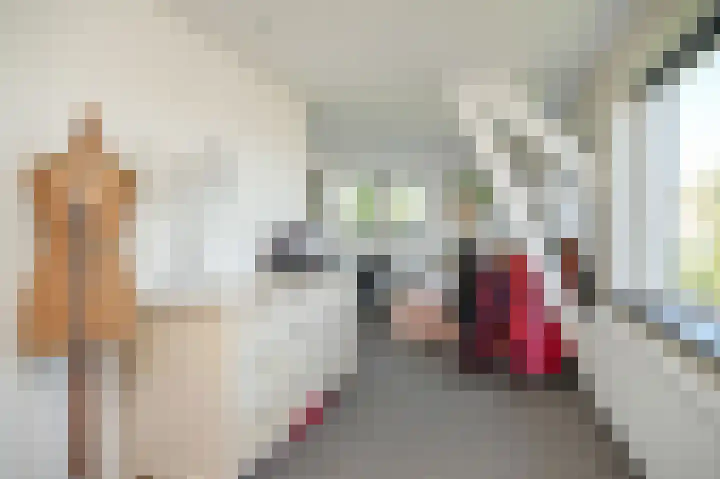 Tolstraat 45 Meerkerk thumbnail 29