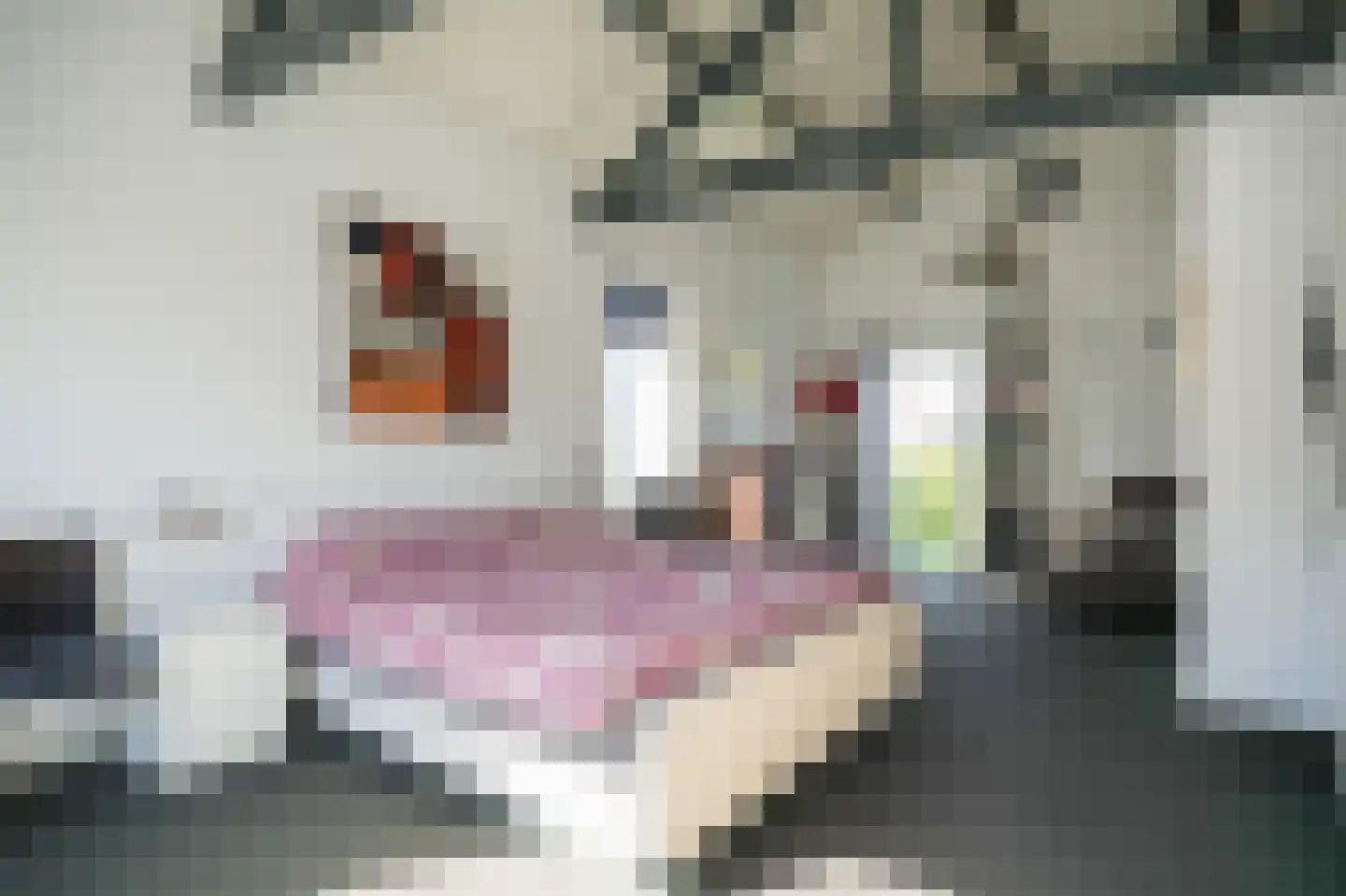 Tolstraat 45 Meerkerk thumbnail 8
