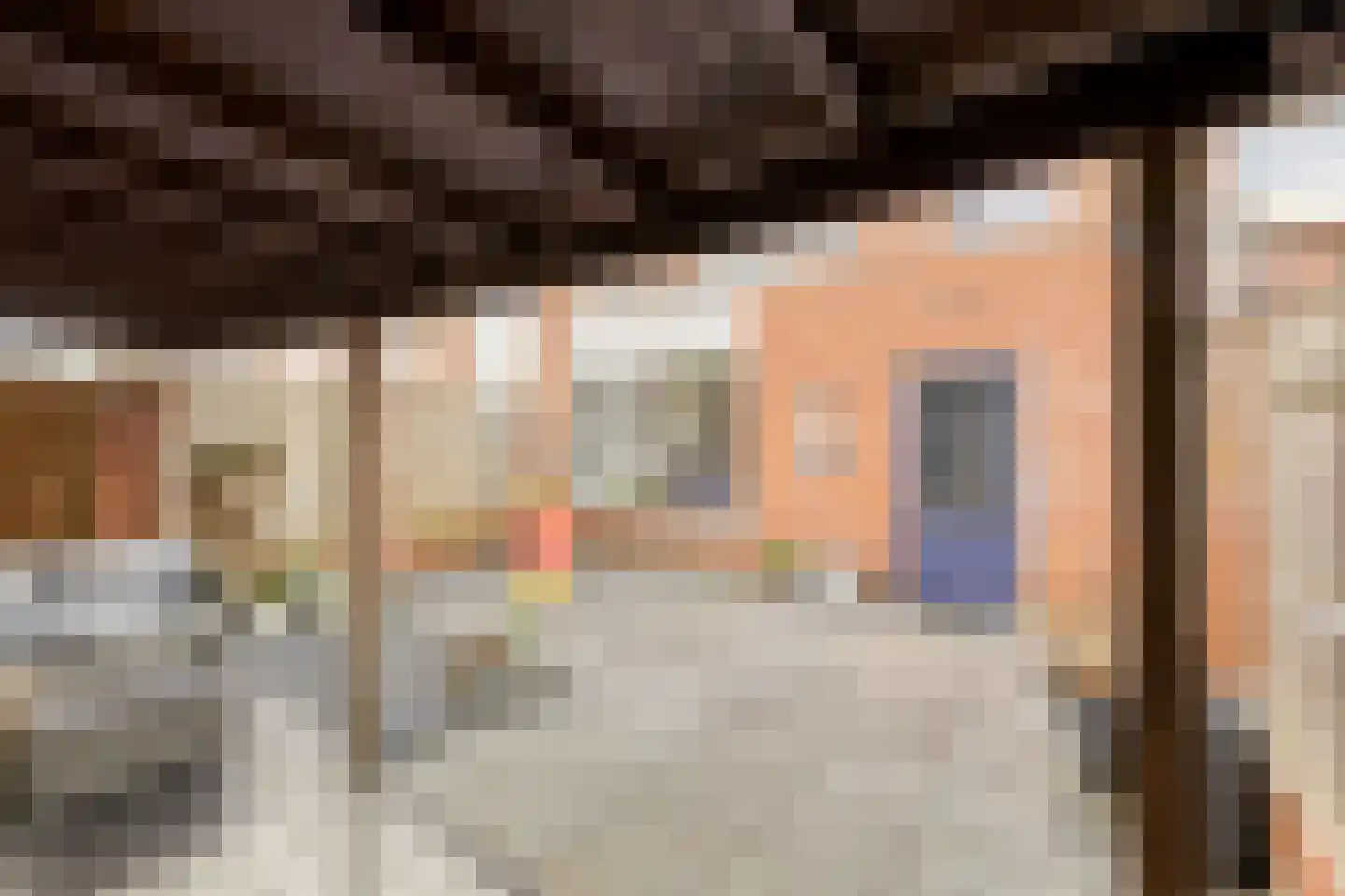 Tolstraat 5 Erp thumbnail 39