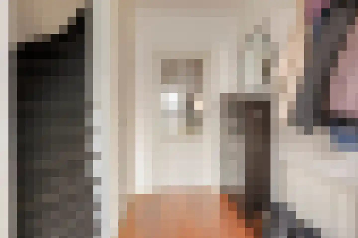 Tolstraat 5 Erp thumbnail 4