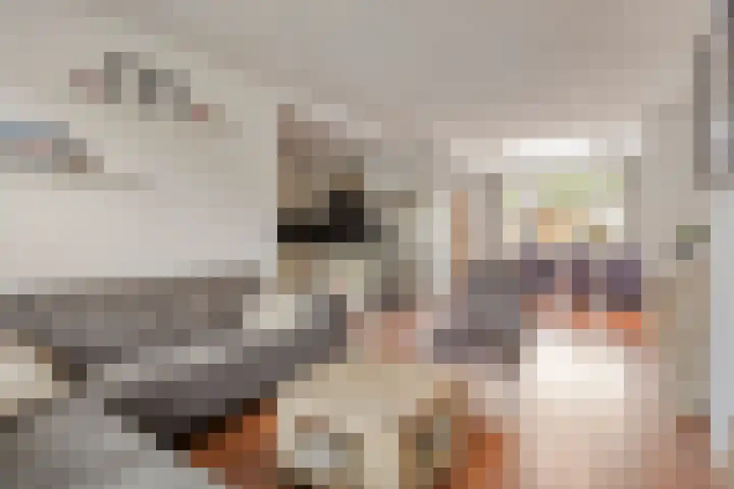 Tolstraat 5 Erp thumbnail 9