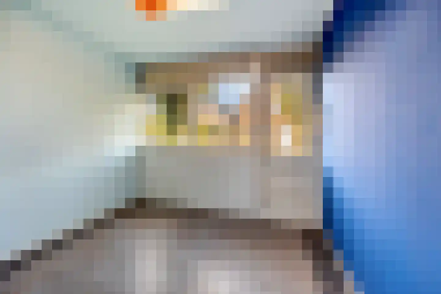Tolstraat 5 Geervliet thumbnail 13
