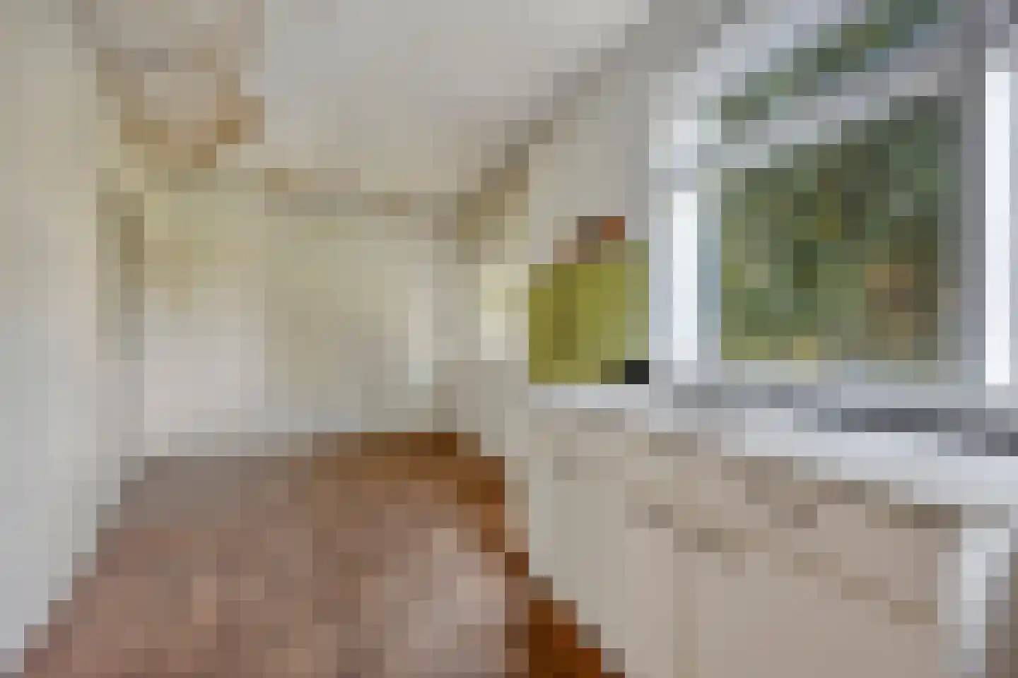 Tolstraat 5 Geervliet thumbnail 14