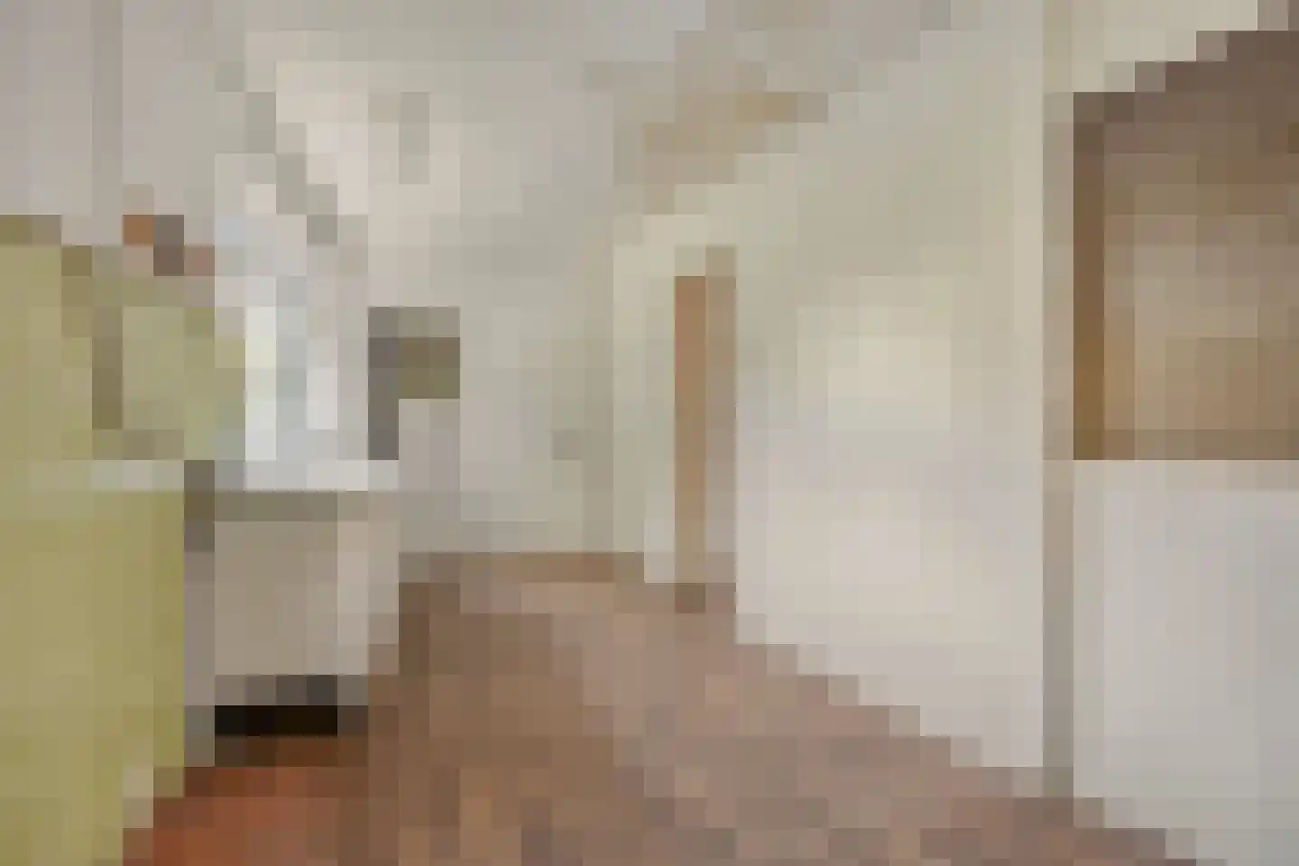 Tolstraat 5 Geervliet thumbnail 15