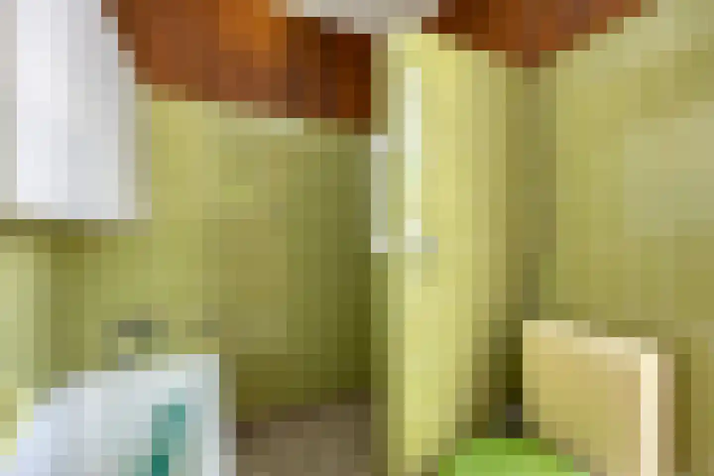 Tolstraat 5 Geervliet thumbnail 17