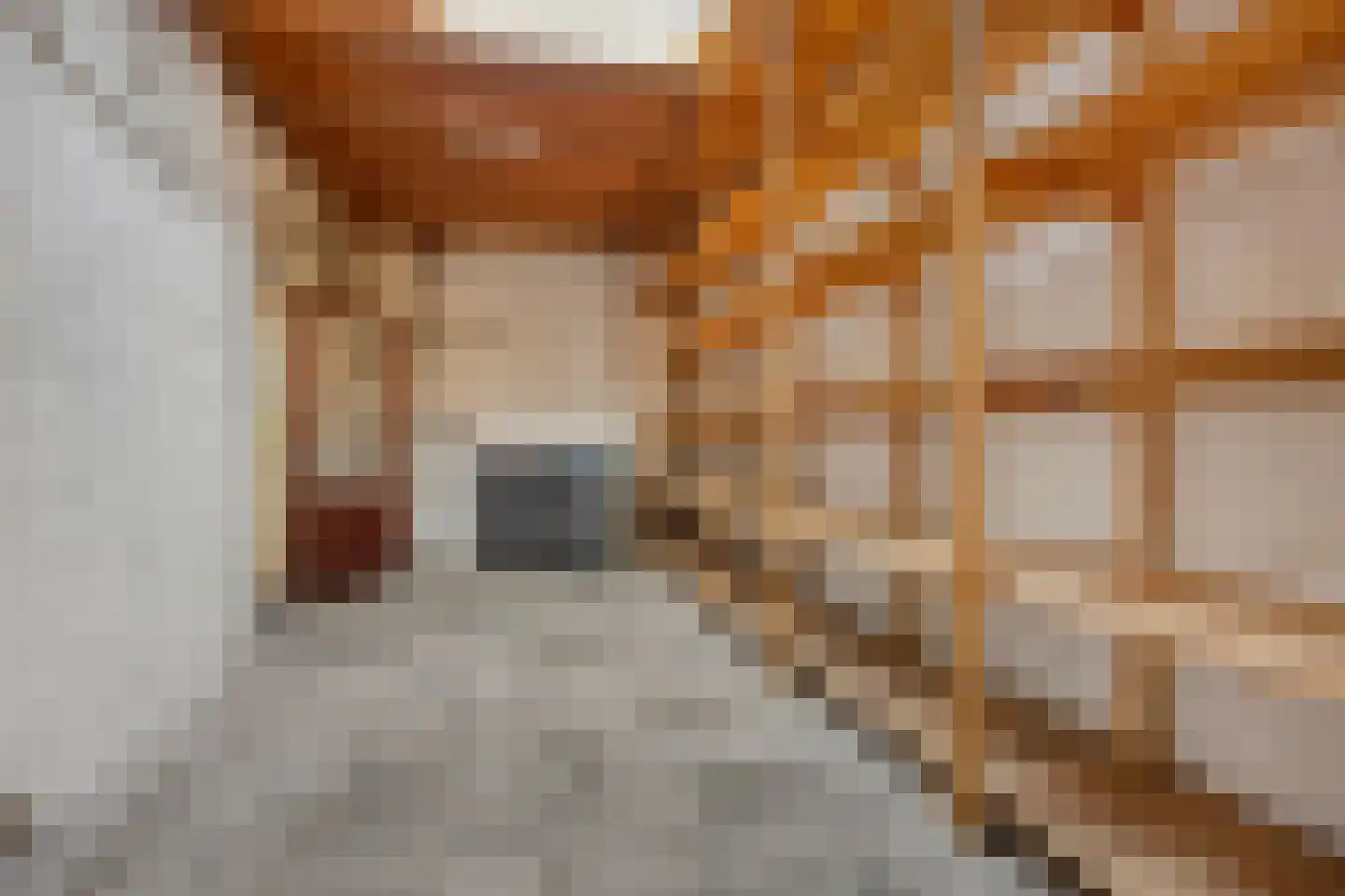 Tolstraat 5 Geervliet thumbnail 21