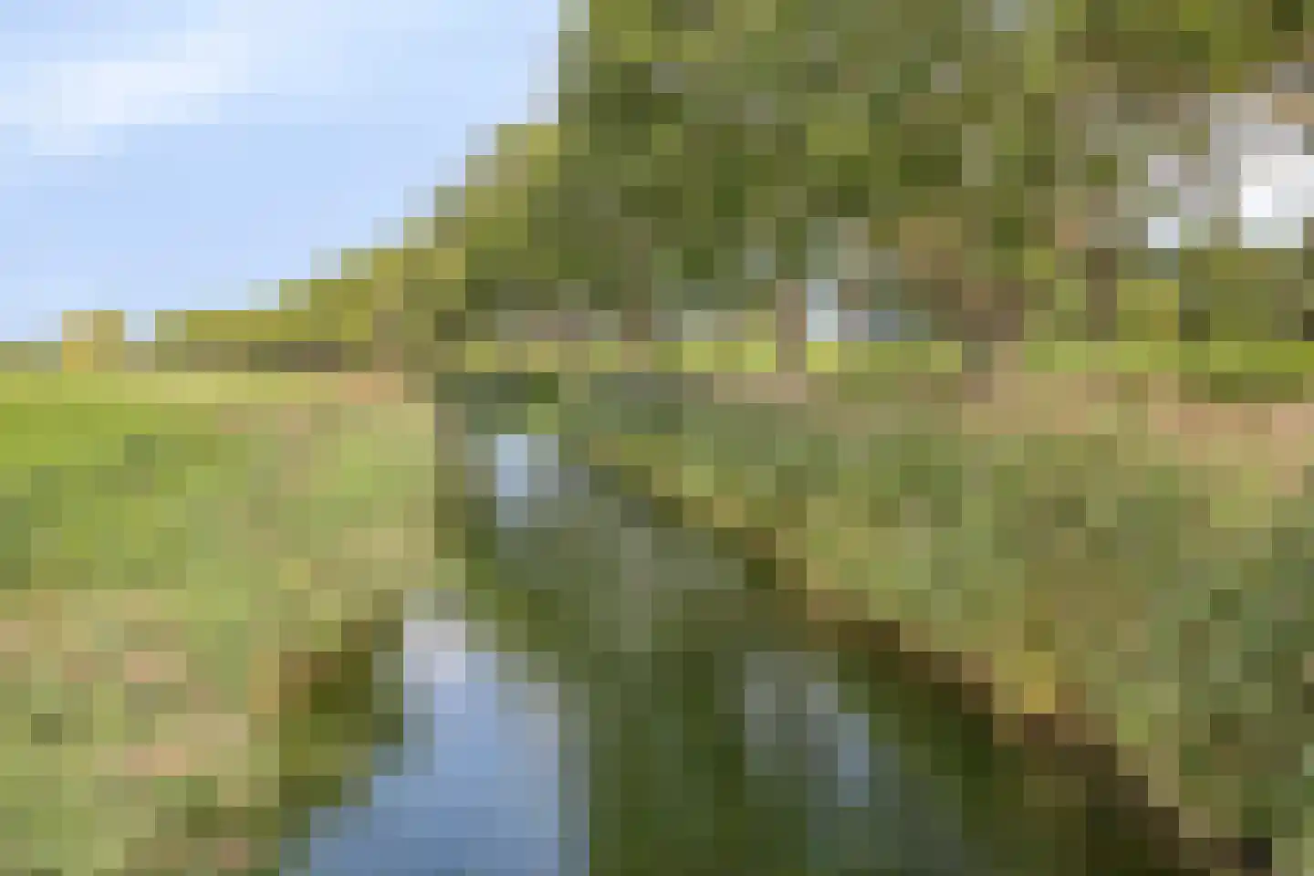 Tolstraat 5 Geervliet thumbnail 34