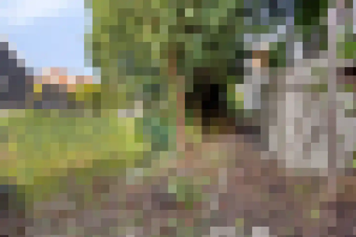 Tolstraat 5 Geervliet thumbnail 6