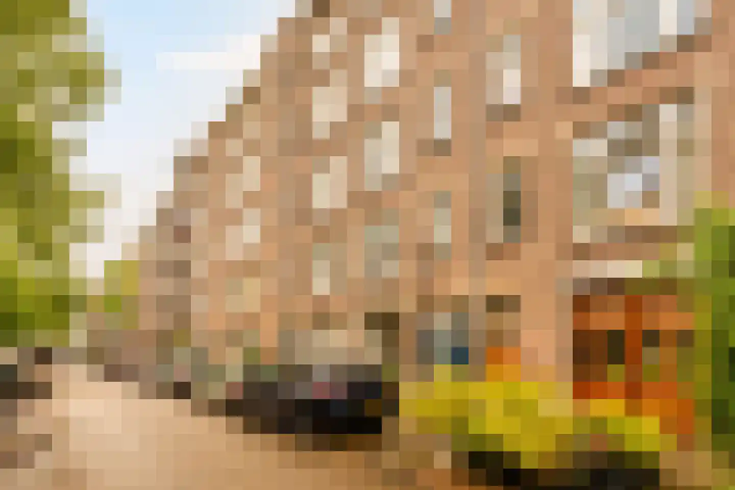 Tolstraat 52 1 in Amsterdam