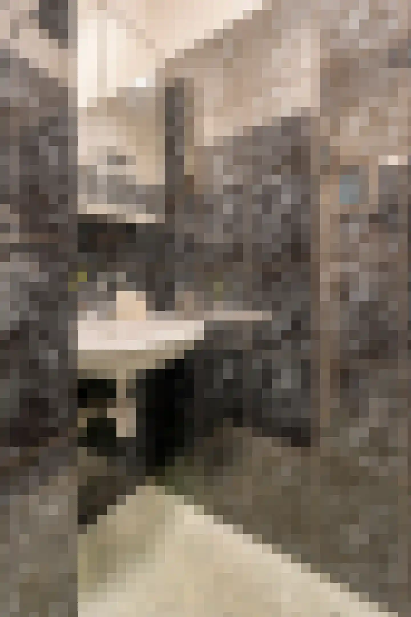 Tolstraat 52 1 Amsterdam thumbnail 17