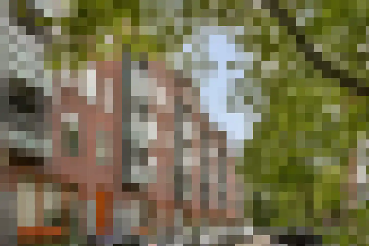 Tolstraat 6 B Amsterdam thumbnail 19