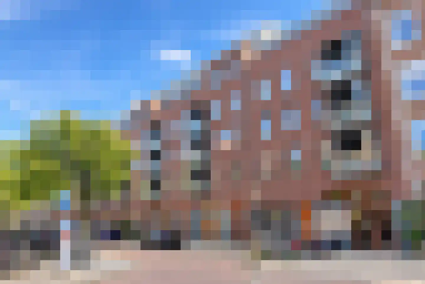 Tolstraat 6 D Amsterdam