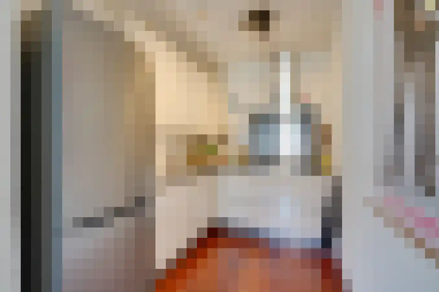 Tolstraat 6 D Amsterdam thumbnail 15