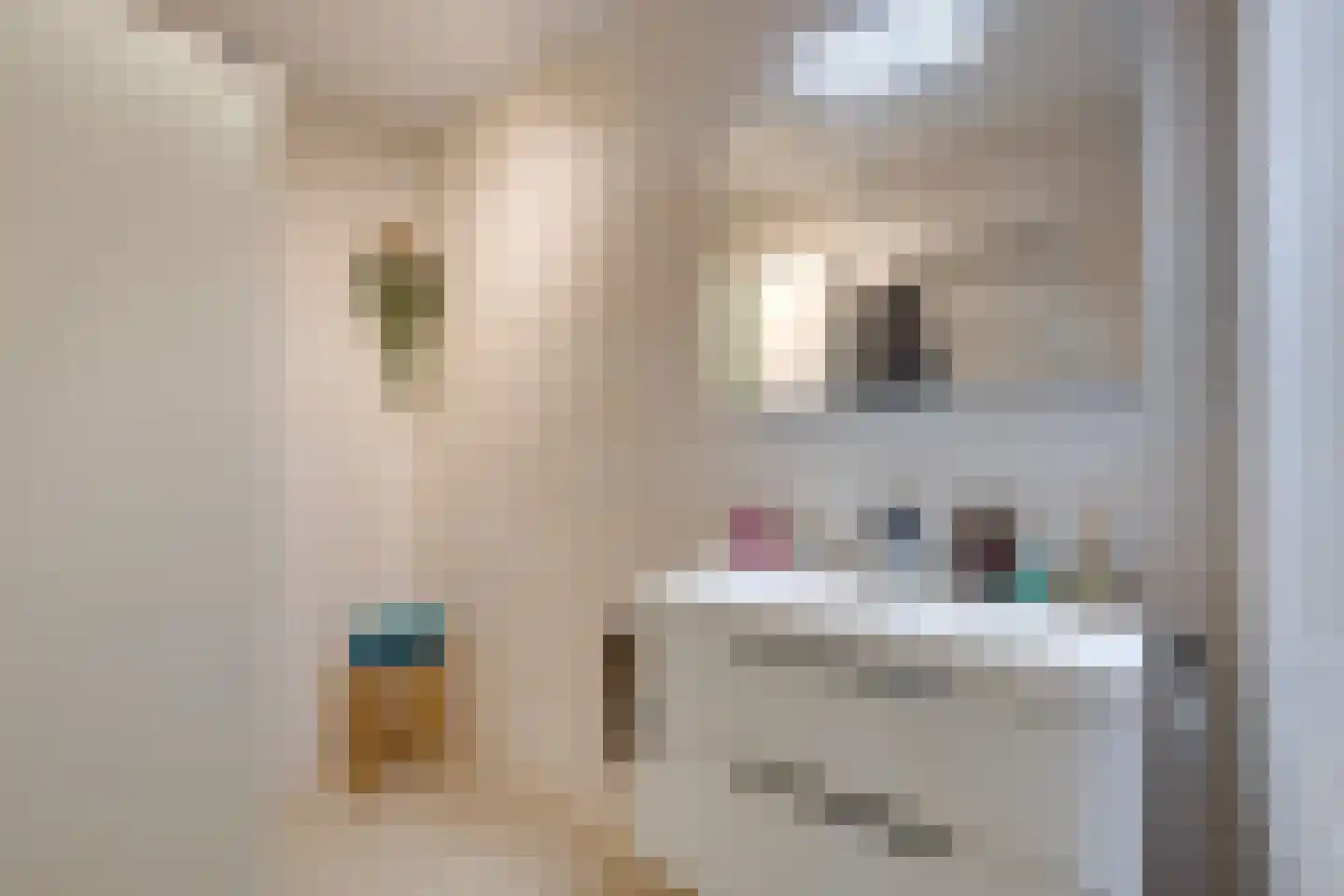 Tolstraat 6 D Amsterdam thumbnail 29