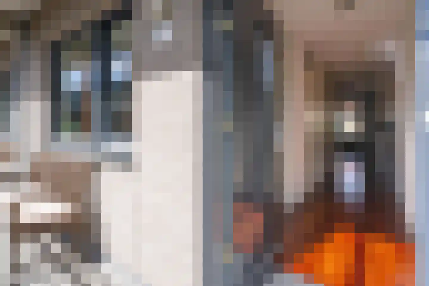 Tolstraat 6 D Amsterdam thumbnail 31
