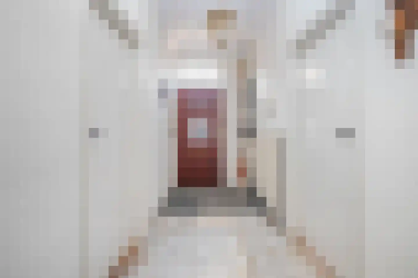 Tolstraat 8 Geervliet thumbnail 27