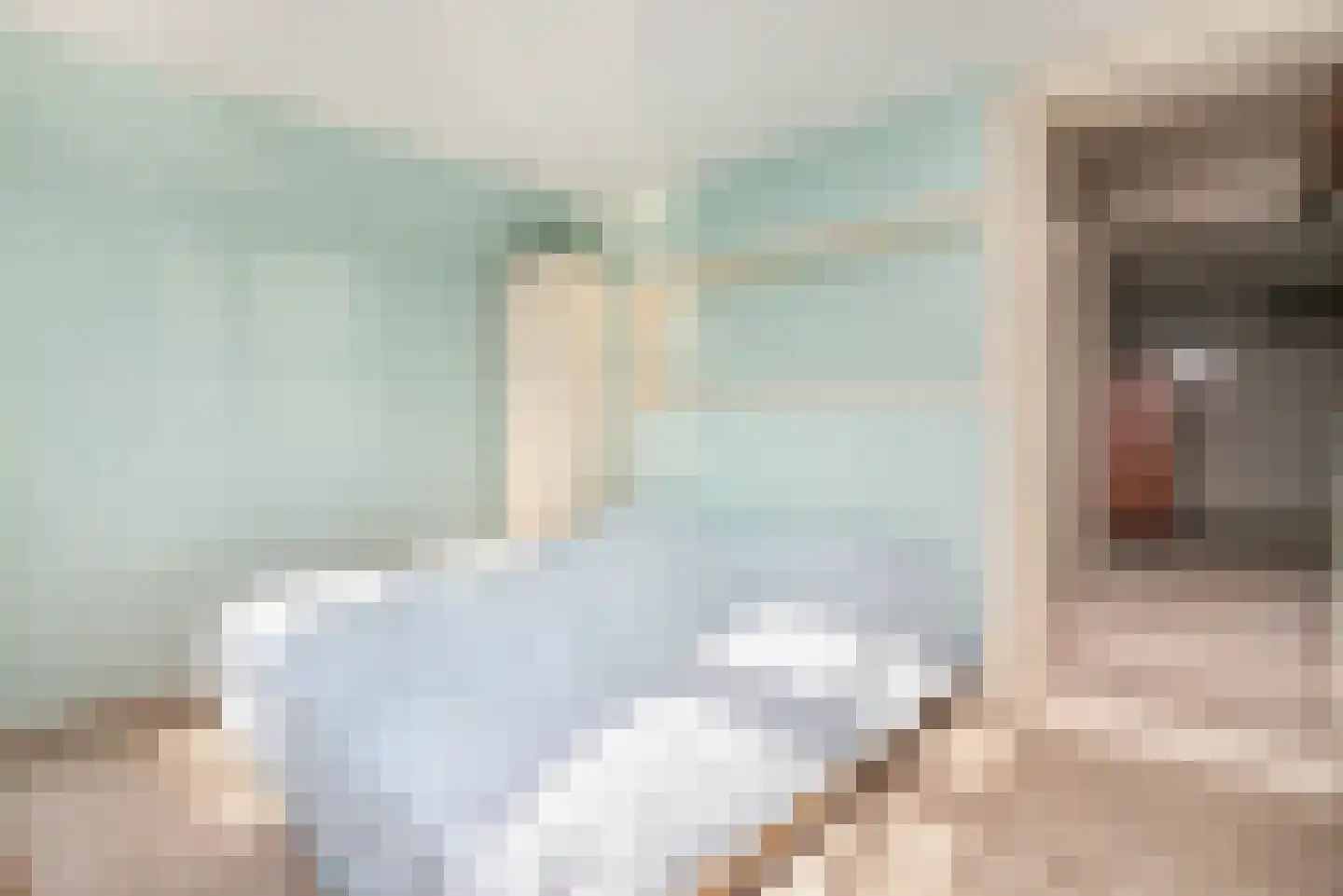 Tolstraat 8 Geervliet thumbnail 37