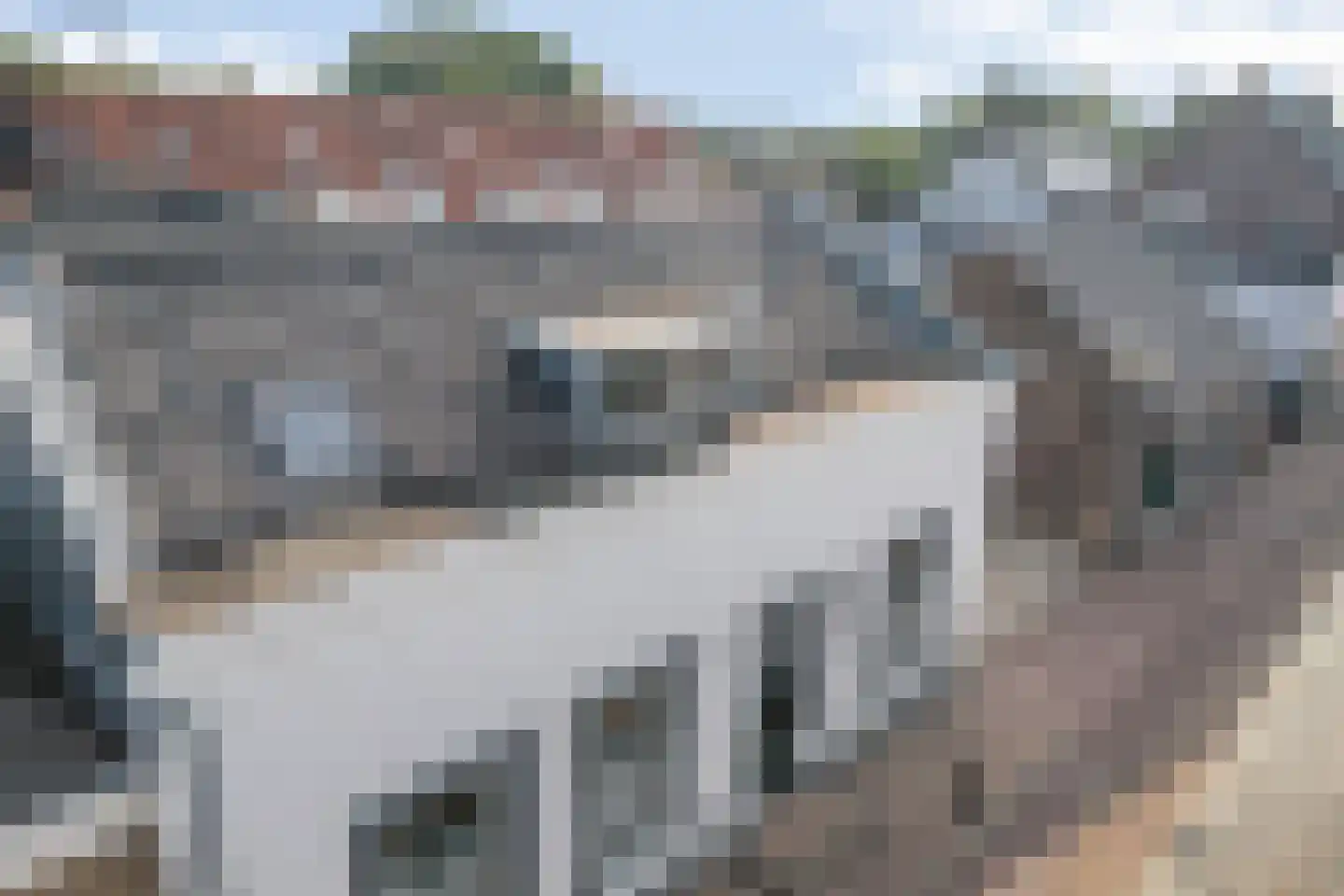 Tolstraat 8 Geervliet thumbnail 46