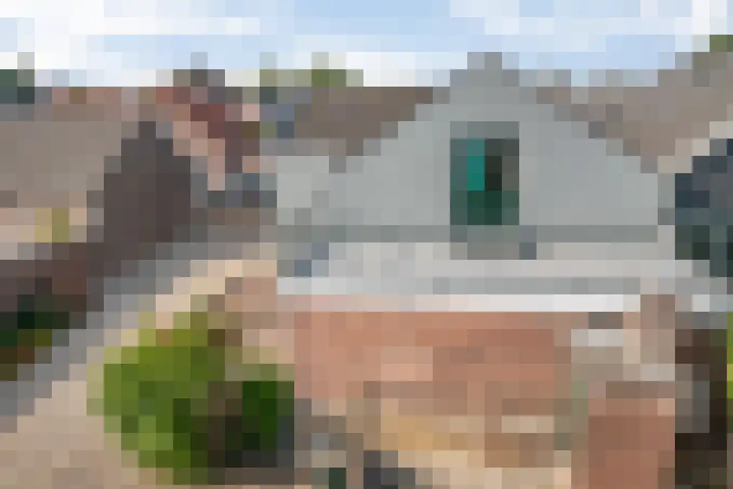 Tolstraat 8 Geervliet thumbnail 51