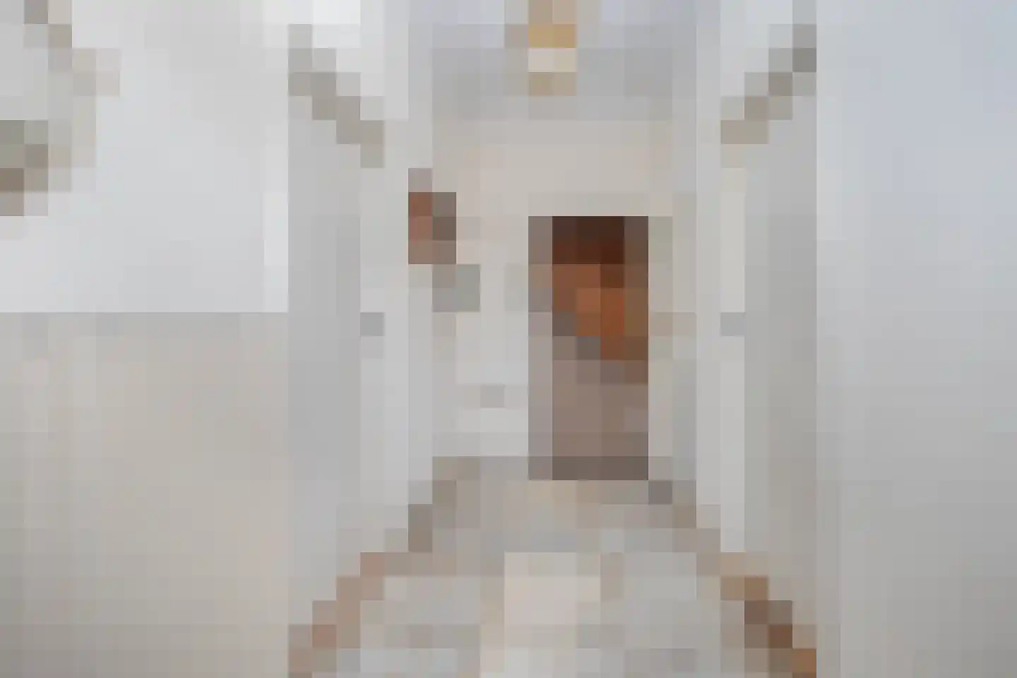 Tolstraat 8 Geervliet thumbnail 7