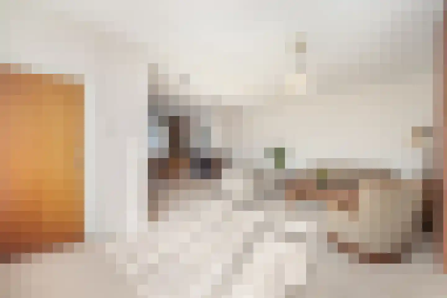 Tolstraat 8 Geervliet thumbnail 9