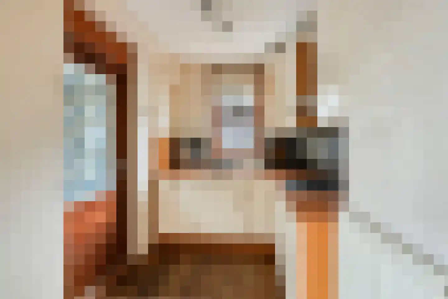 Tolvepaed 6 Haskerdijken thumbnail 12