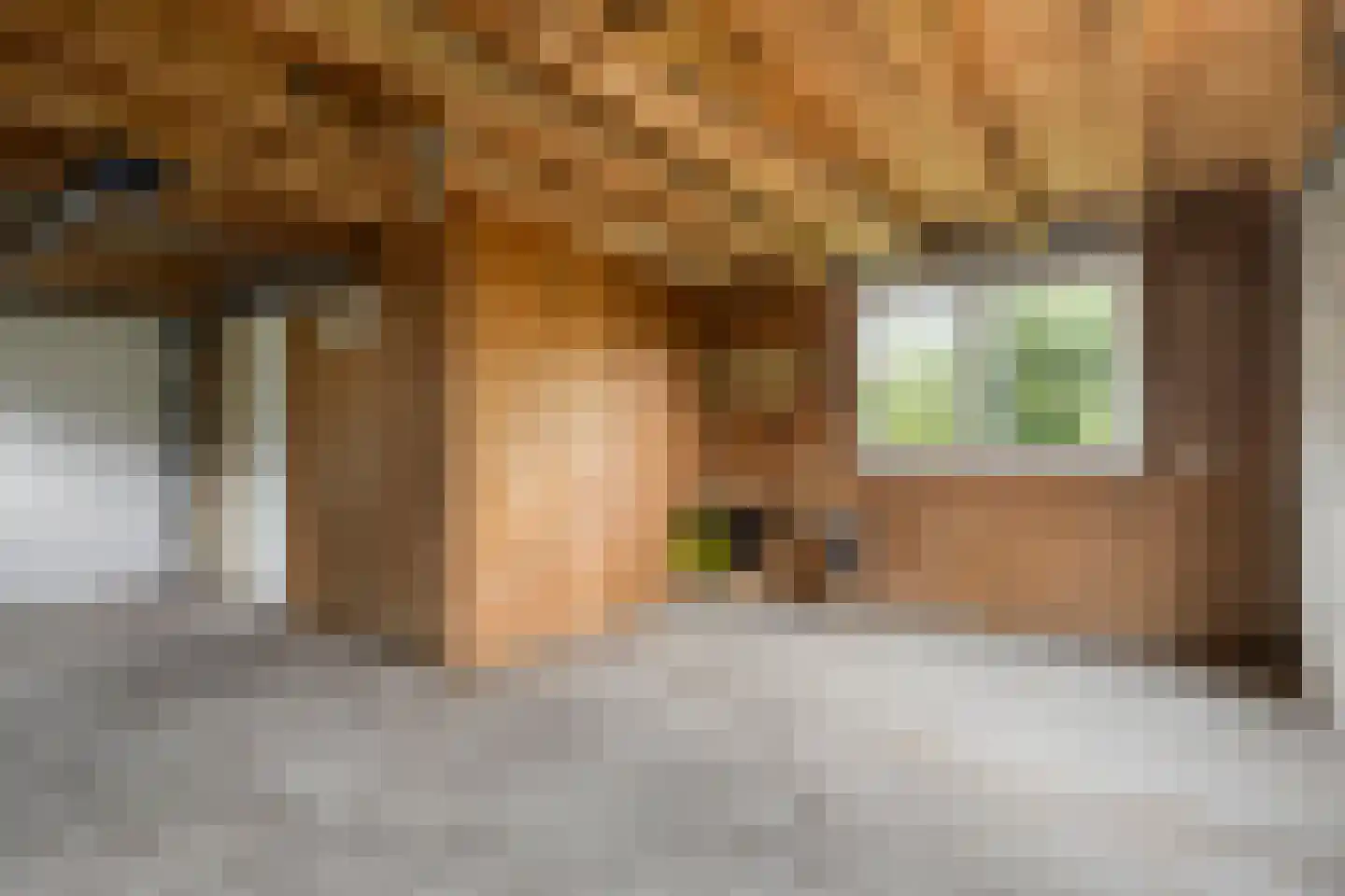 Tolvepaed 6 Haskerdijken thumbnail 16