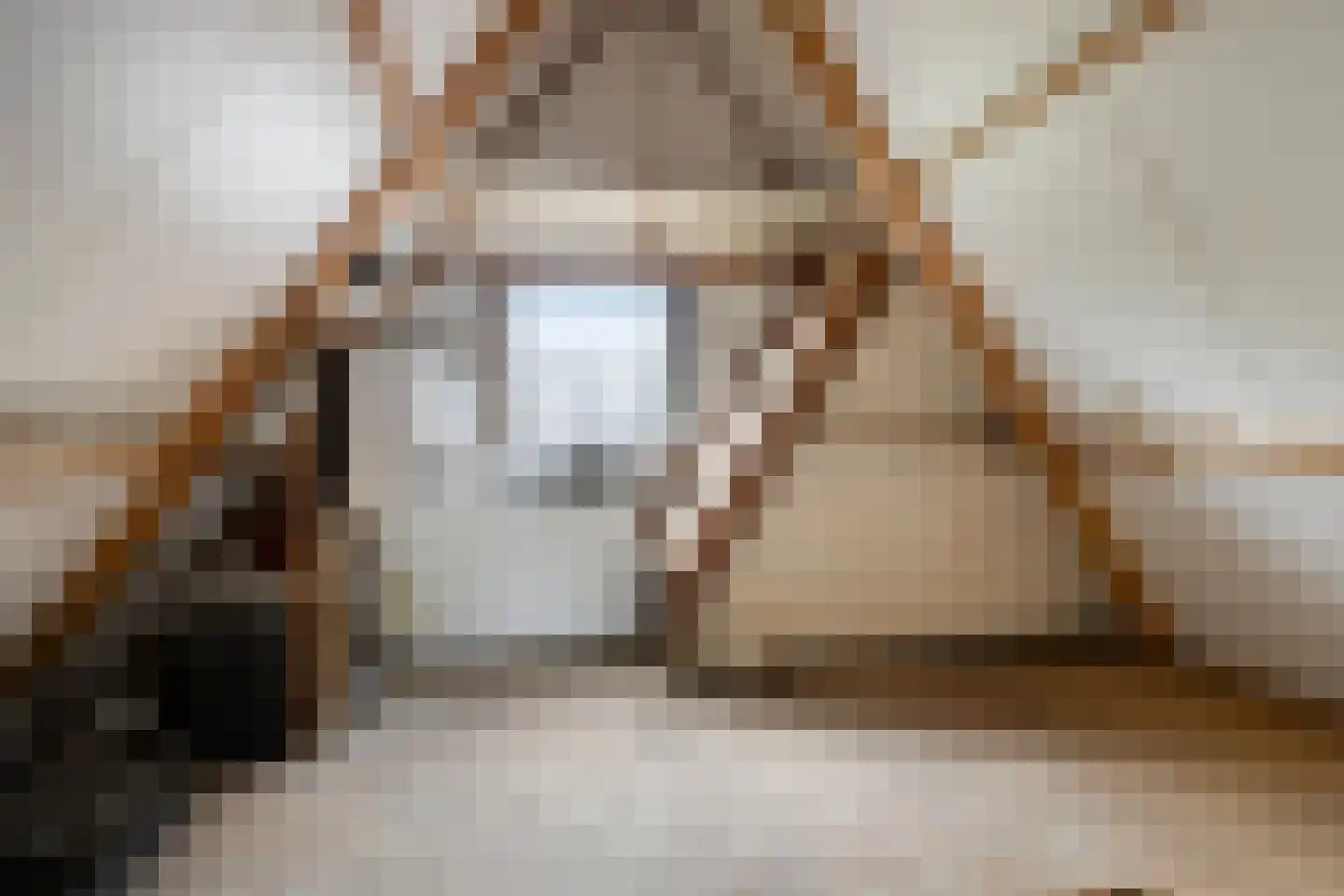 Tolvepaed 6 Haskerdijken thumbnail 23