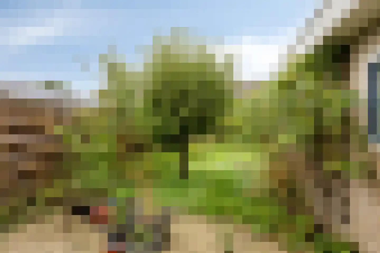Tolvepaed 6 Haskerdijken thumbnail 25