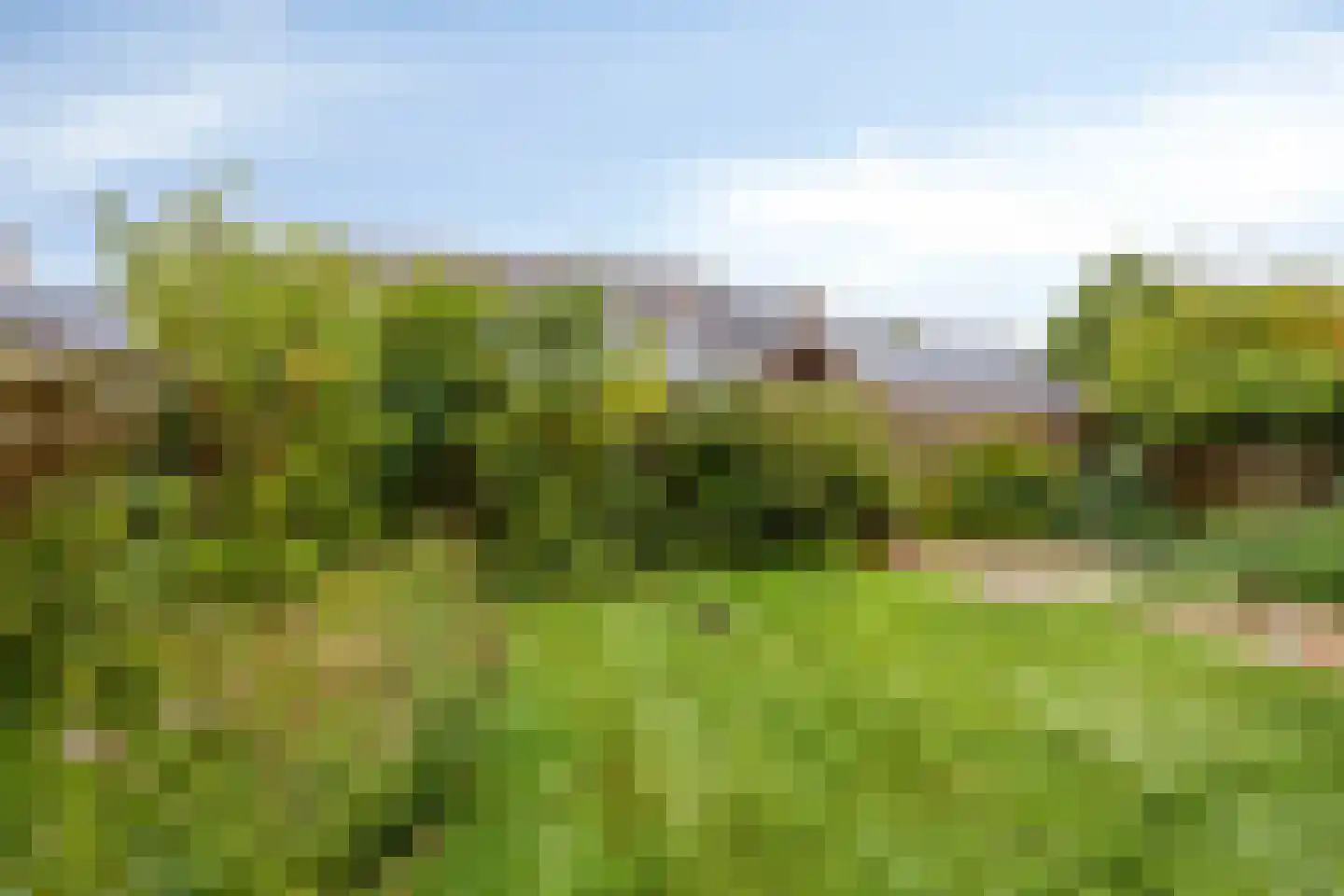 Tolvepaed 6 Haskerdijken thumbnail 26