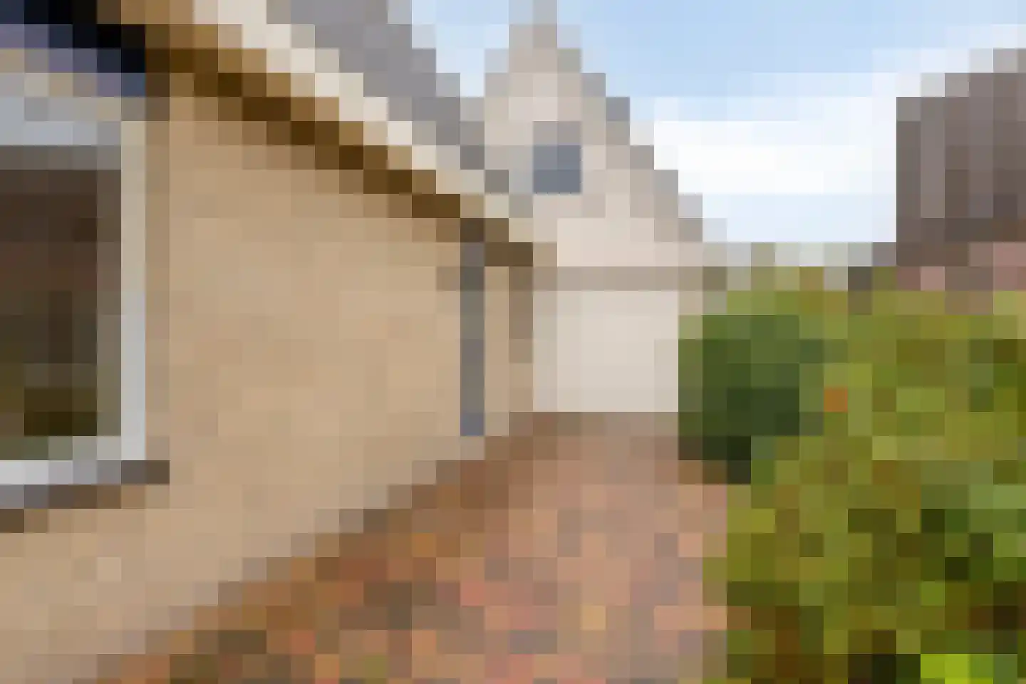 Tolvepaed 6 Haskerdijken thumbnail 7