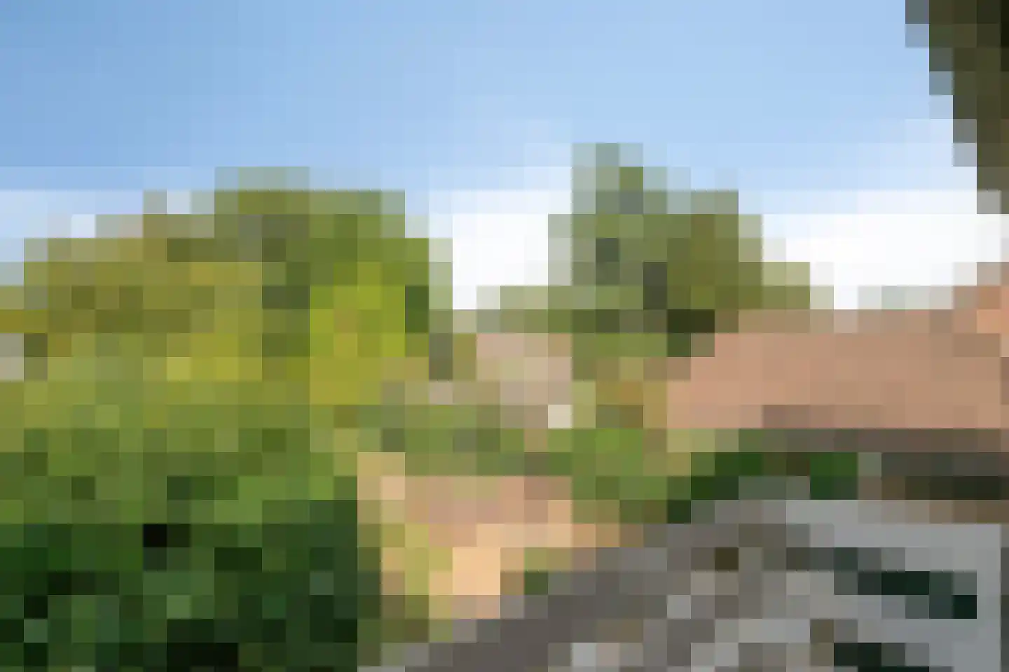 Tolweg 1 A Geffen thumbnail 30