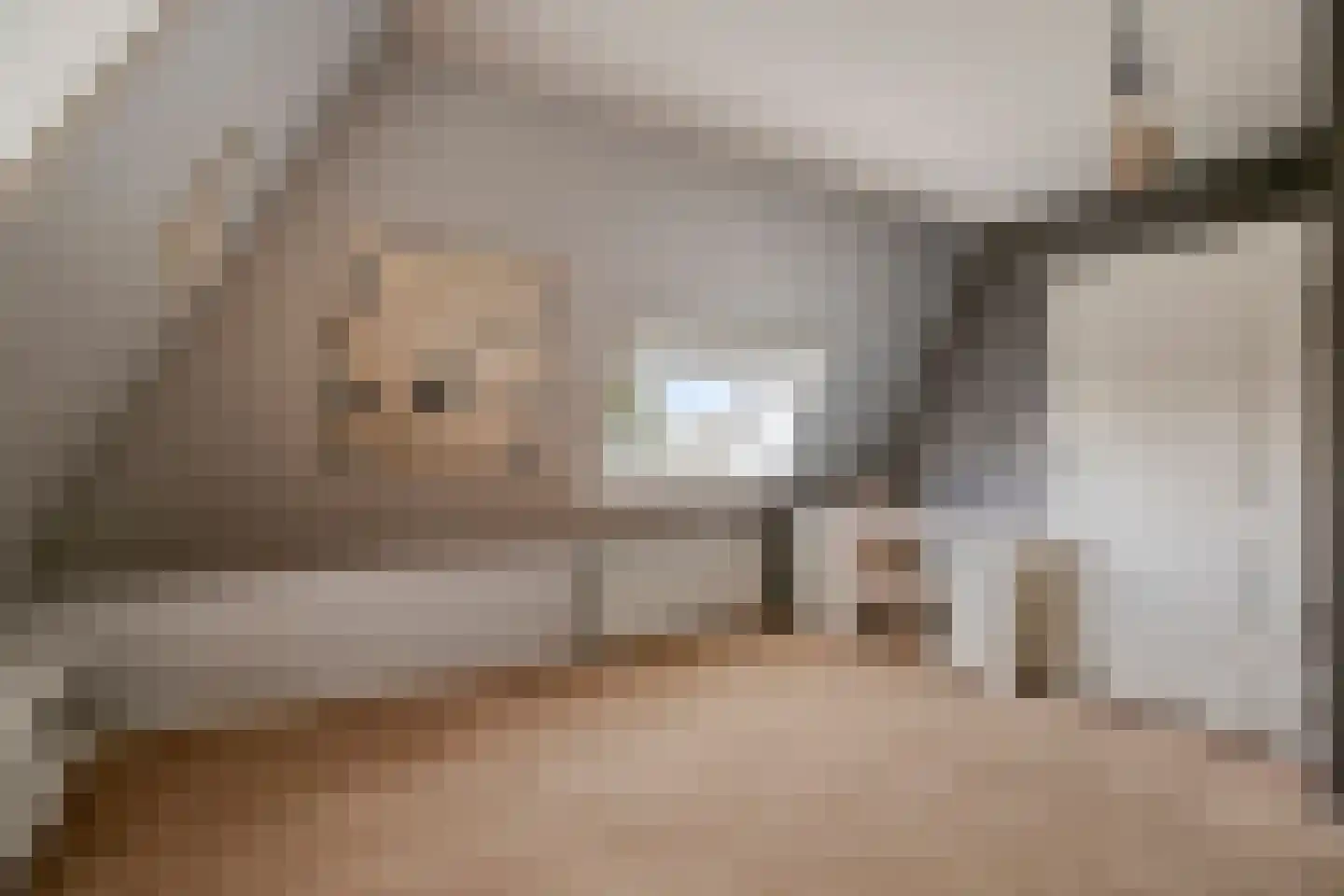 Tolweg 1 A Geffen thumbnail 32