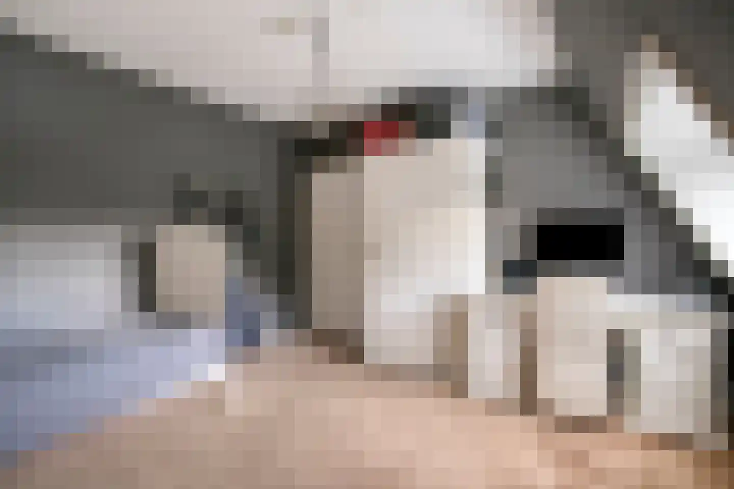 Tolweg 1 A Geffen thumbnail 34