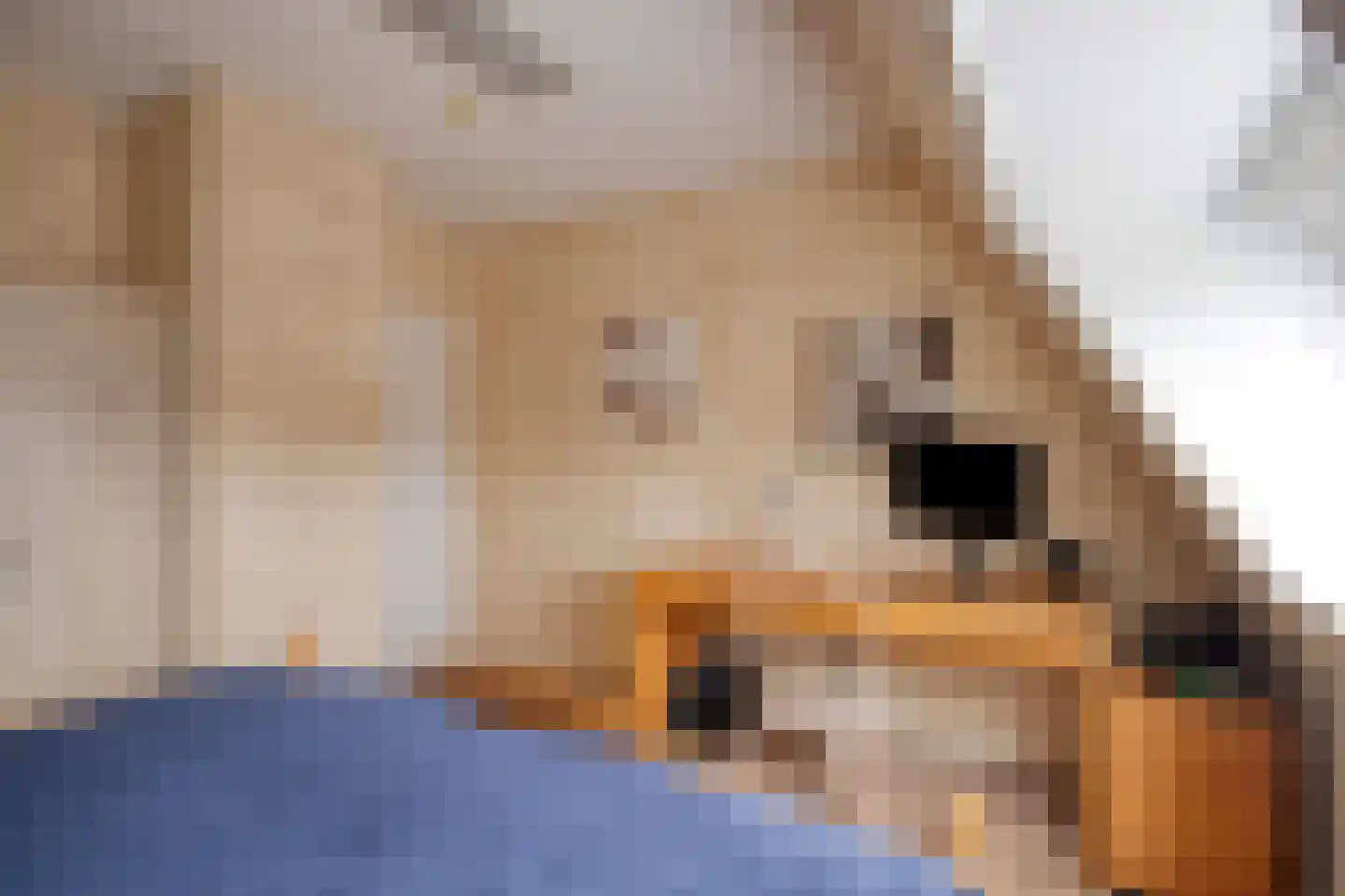 Tolweg 1 A Geffen thumbnail 37