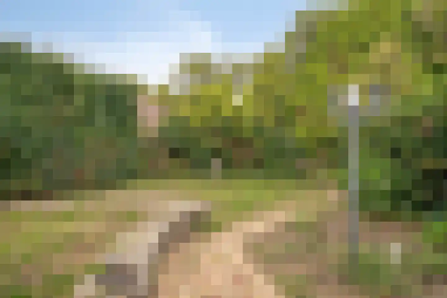 Tolweg 1 A Geffen thumbnail 43