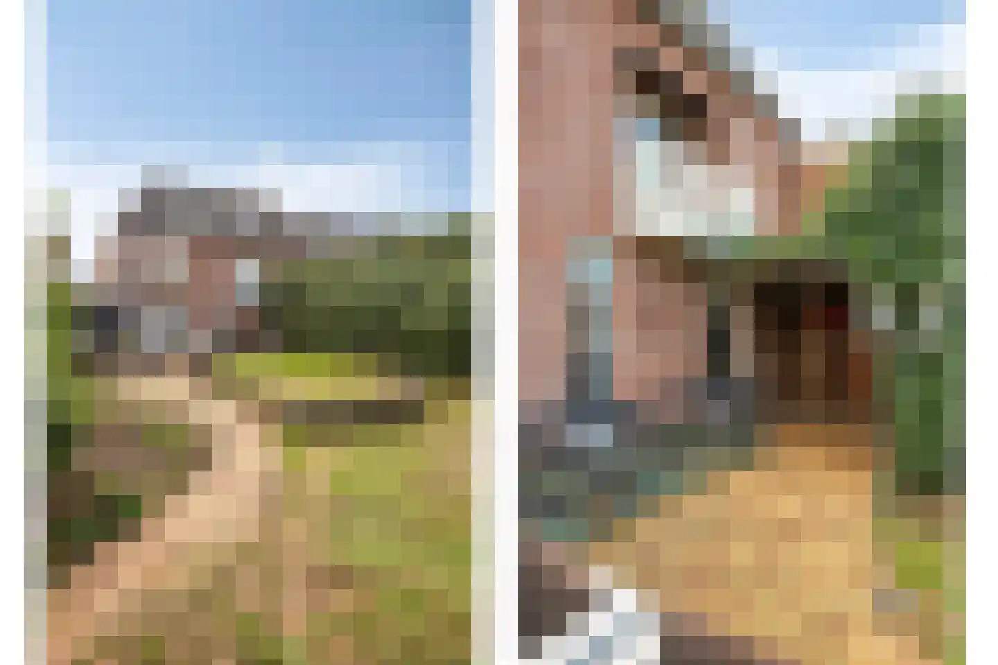Tolweg 1 A Geffen thumbnail 47