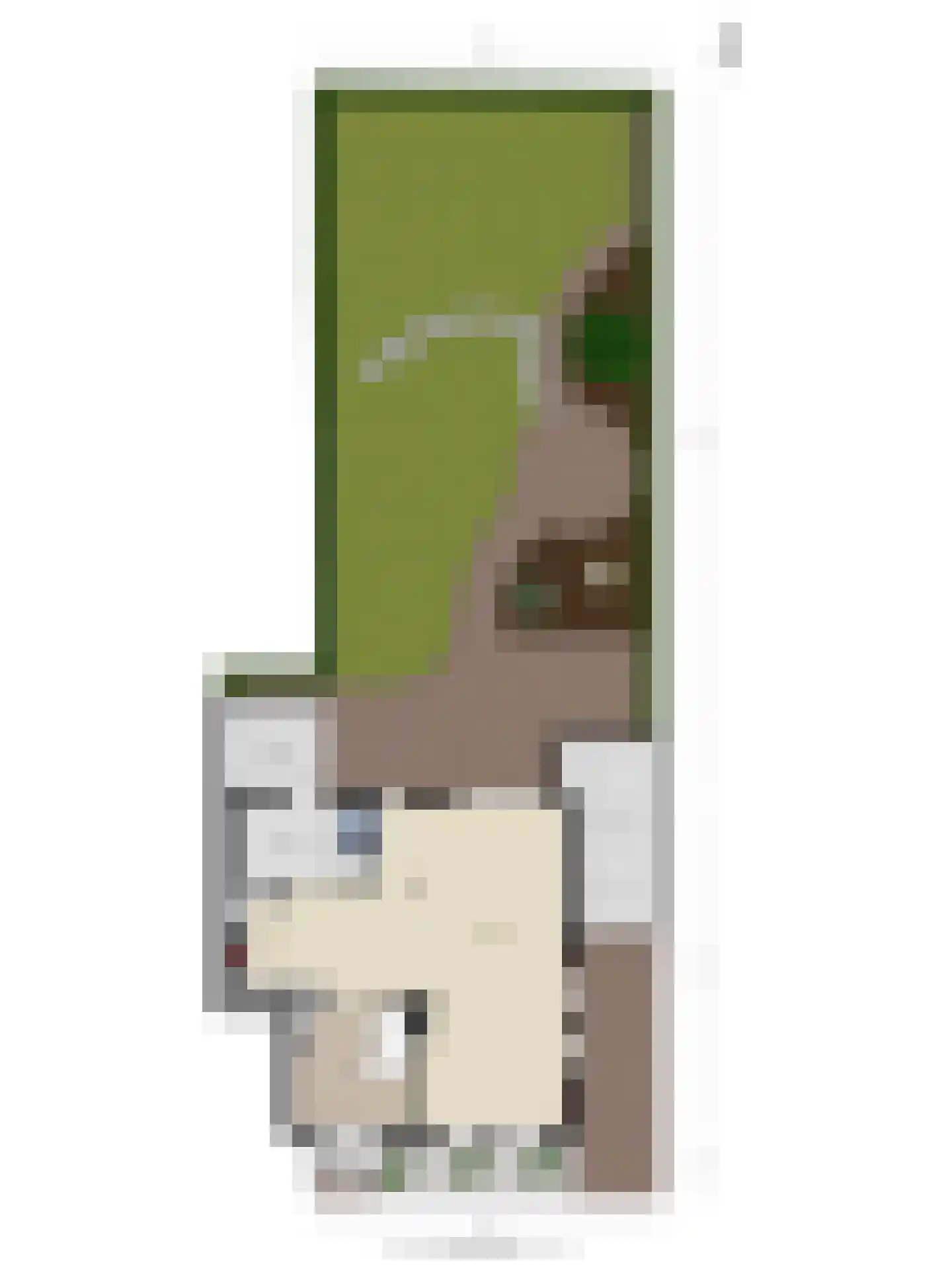 Tolweg 1 A Geffen thumbnail 54