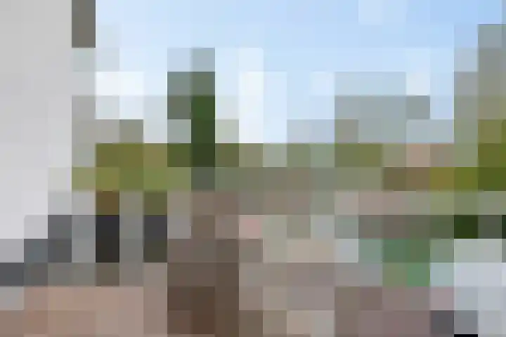 Tolweg 12 rd Zandvoort thumbnail 18