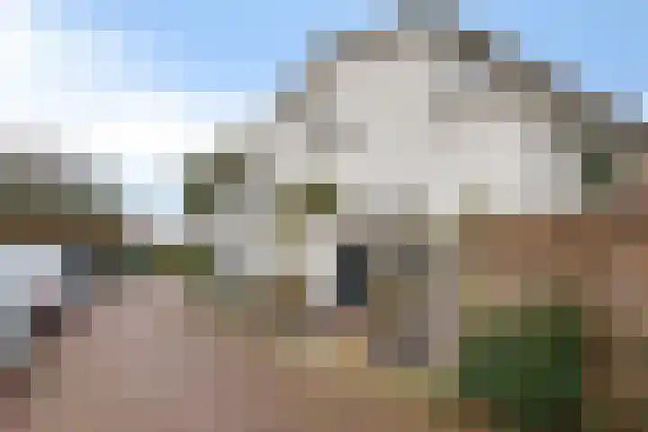 Tolweg 12 rd Zandvoort thumbnail 38