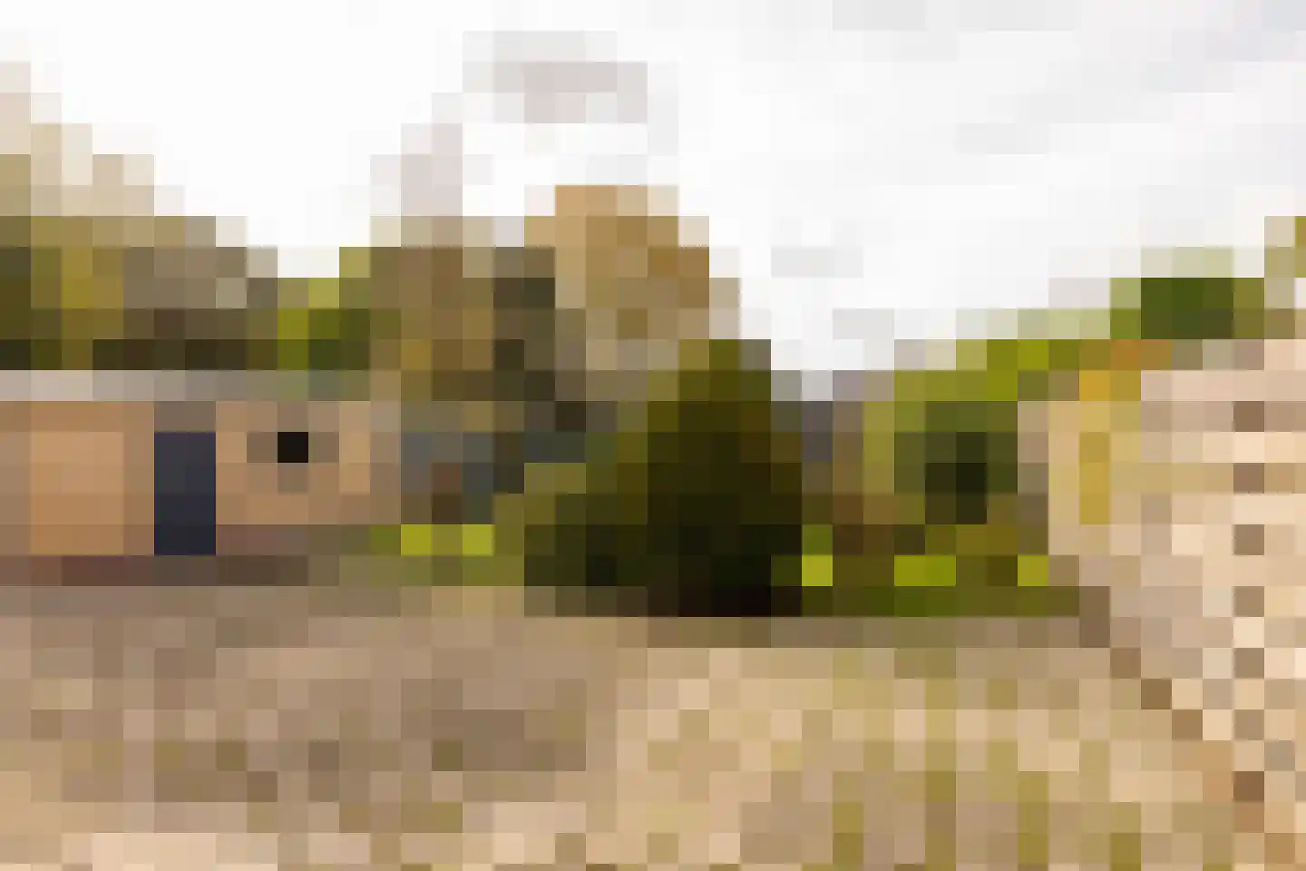 Tolweg 12 Zuidwolde thumbnail 30