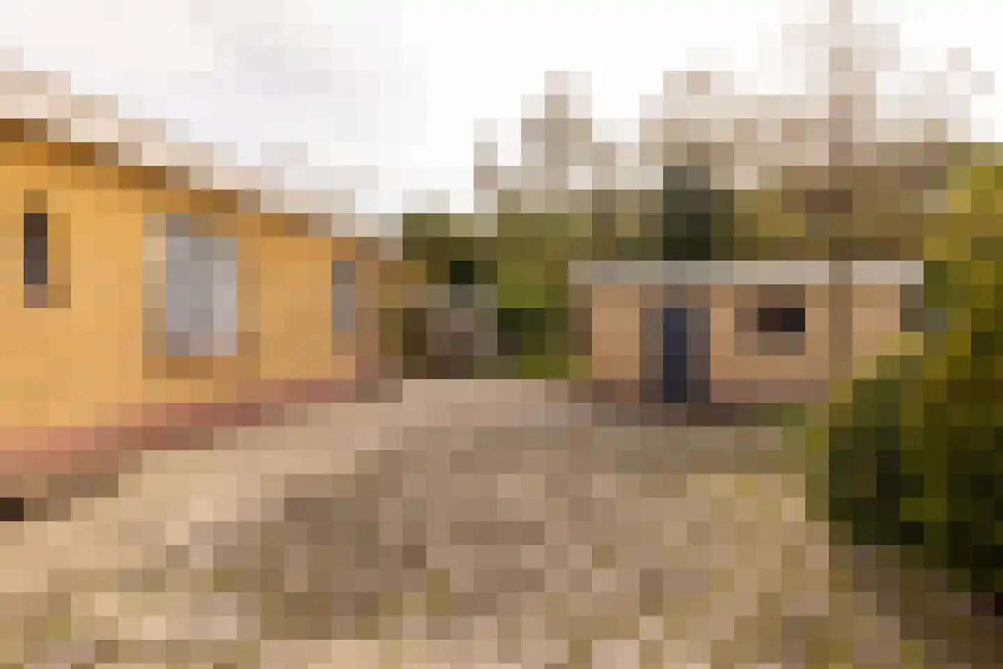 Tolweg 12 Zuidwolde thumbnail 31